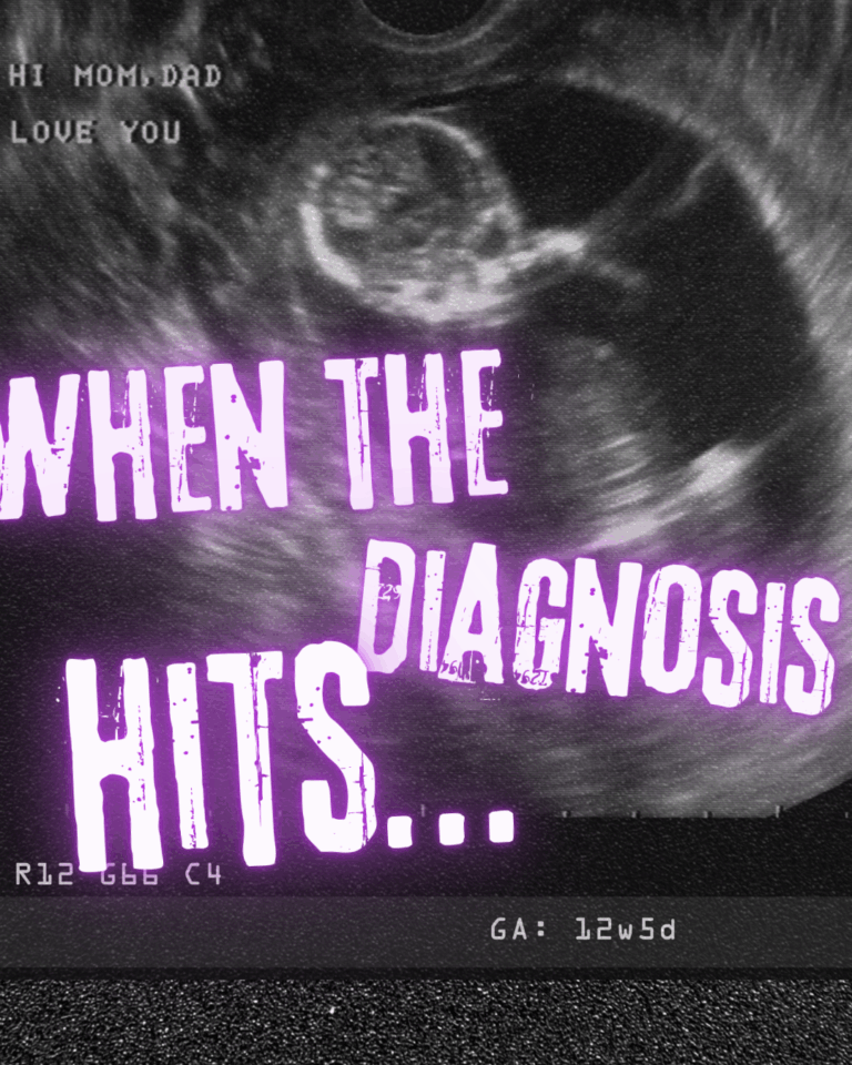 disability awarness carousel