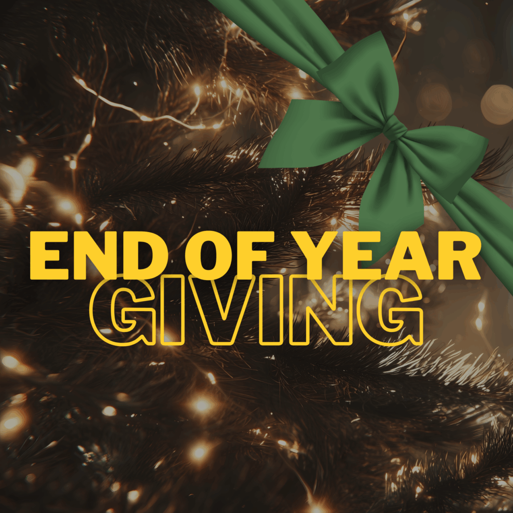 End-of-year giving and donor engagement campaign.