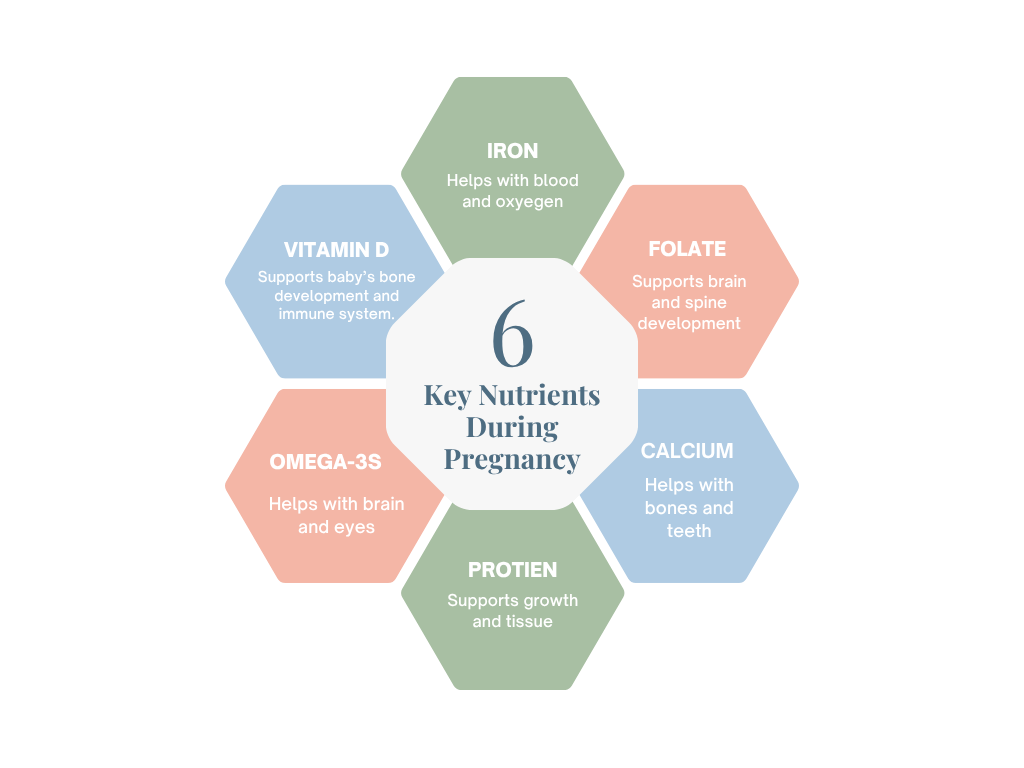 Key Nutrients During Pregnancy Nutrition