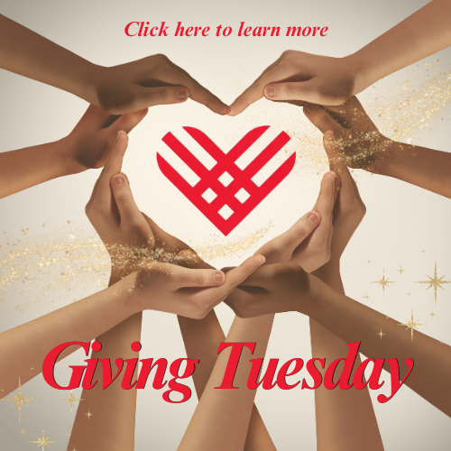 Giving Tuesday campaign for pregnancy centers, Hands holding heart.