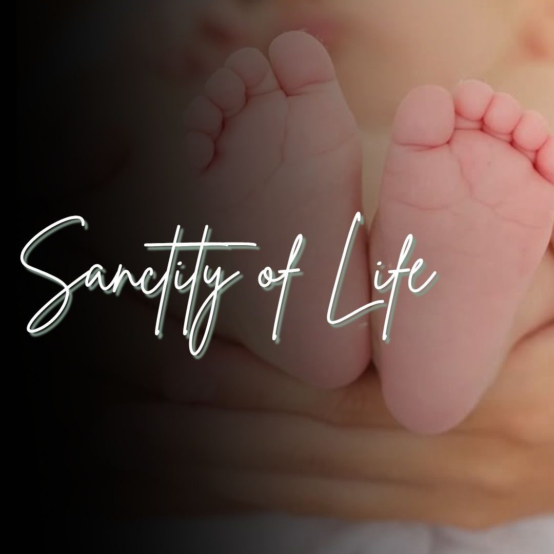 banner sanctity of life